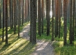 Latvia IFSS