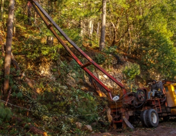 Illegal Logging